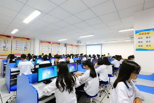 各专业学生就业方向 会计电算化 食品营养与检测