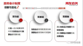 新政府准则制度下用友政务软件配套会计用品的A4版展示与应用解析